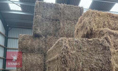 20 QUADRANT BALES OF WHEAT STRAW BIDS PER BALE