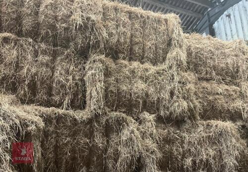 40 SQAURE BALES OF MEADOW HAY BIDS PER BALE