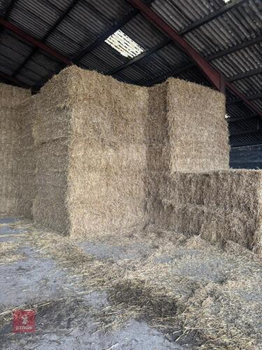 50 X 8' 120 X 90 BALES OF WHEAT STRAW BIDS PER BALE