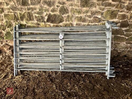8 X 6' GALVANISED HURDLES (65)