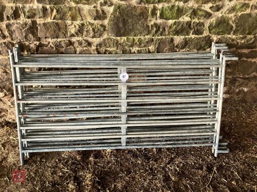 7 X 6' GALVANISED HURDLES (67)