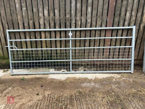 IAE 10' GALVANISED FIELD GATE (73)