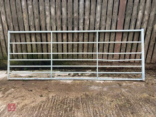IAE 10' GALVANISED FIELD GATE (75)