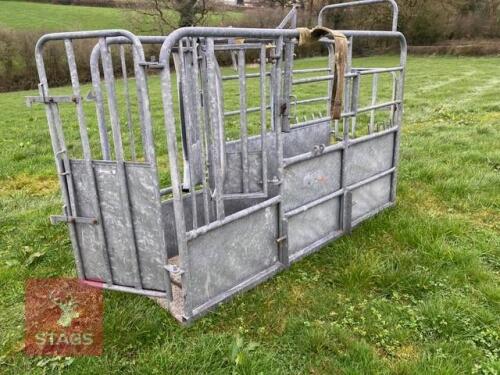 BATEMAN FULLY GALVANISED CATTLE CRUSH