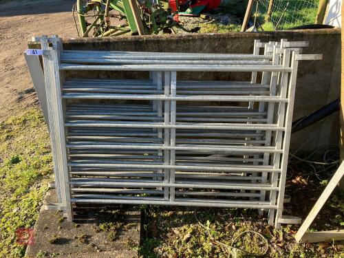 8 X 4' GALVANSIED SHEEP HURDLES (41)