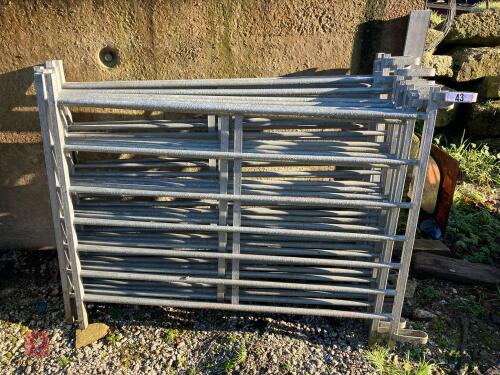 10 X 4' GALVANSIED SHEEP HURDLES (43)