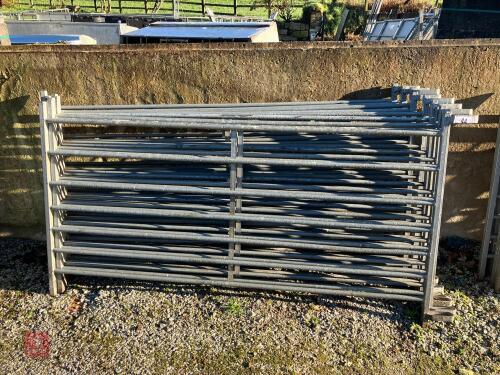 10 X 6' GALVANISED SHEEP HURDLES (44)