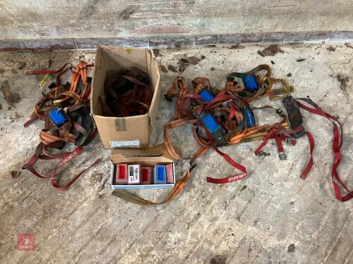 10 RAM RADDLE HARNESSES