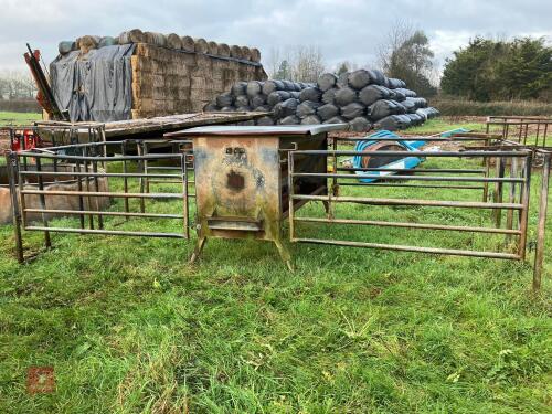 AGRITUBEL DOUBLE SIDED CALF CREEP FEEDER
