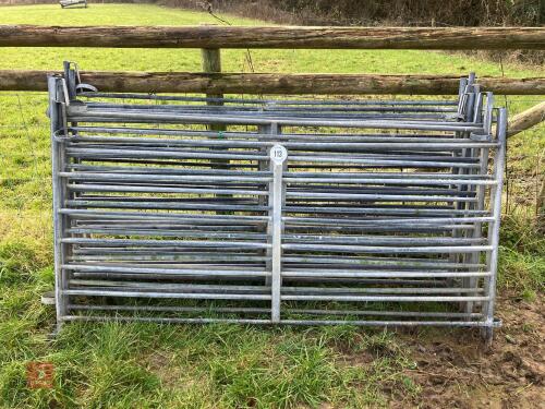 10 GALVANISED 6' SHEEP HURDLES (113)
