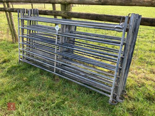 9 GALVANISED 6' SHEEP HURDLES (114)