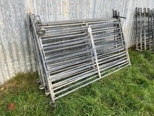 8 GALVANISED 5' SHEEP HURDLES (115)