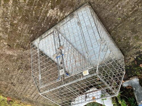GALVANSIED TWIN DOG CAGE