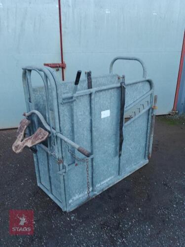 CALF DEHORNING CRATE