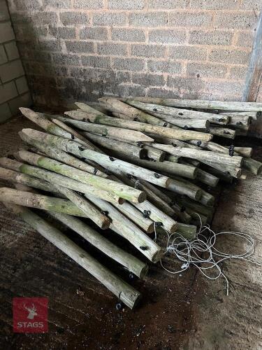 LARGE QTY OF WOODEN FENCING STAKES