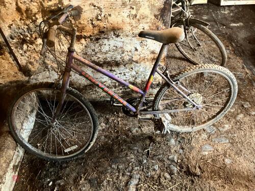 UNIVERSAL BICYCLE