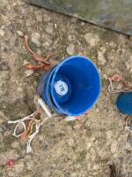 10 BLUE PLASTIC EWE BUCKETS - 2