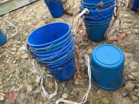 10 BLUE PLASTIC EWE BUCKETS - 4