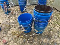 14 BLUE PLASTIC EWE BUCKETS - 4