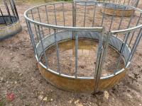 GALVANISED SHEEP ROUND FEEDER - 6