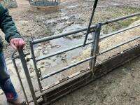 IAE 5.75M SHEEP FEED BARRIER - 12