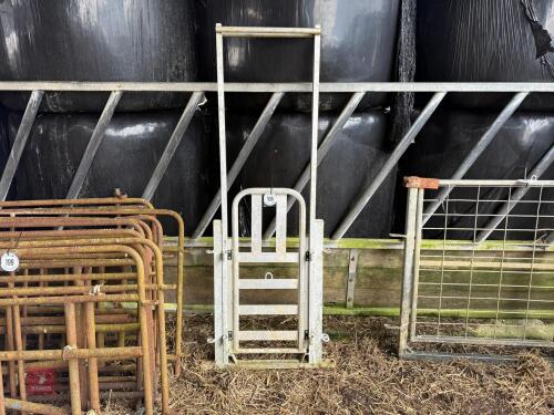 ALUMINIUM GUILLOTINE RACE GATE