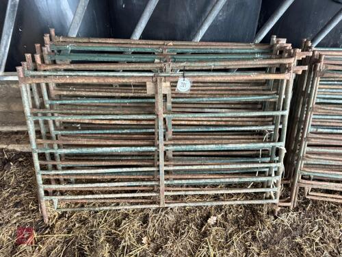10 METAL SHEEP HURDLES