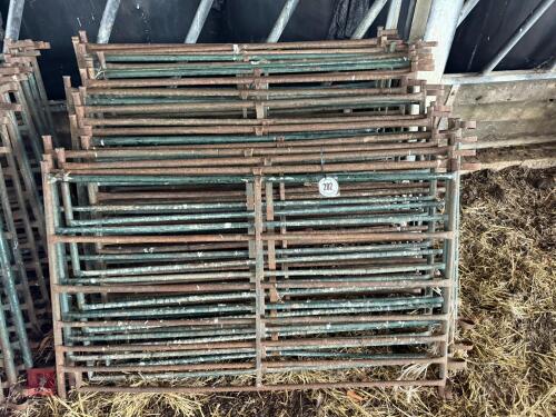 20 METAL SHEEP HURDLES
