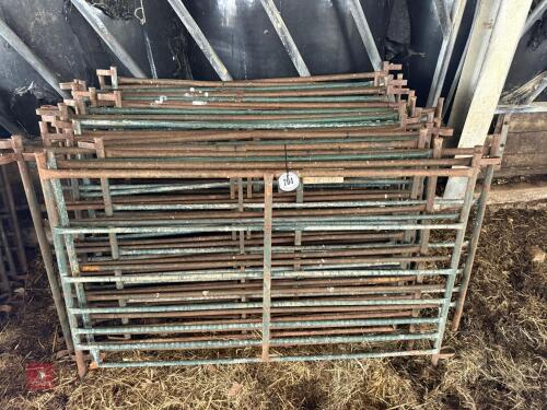 21 METAL SHEEP HURDLES