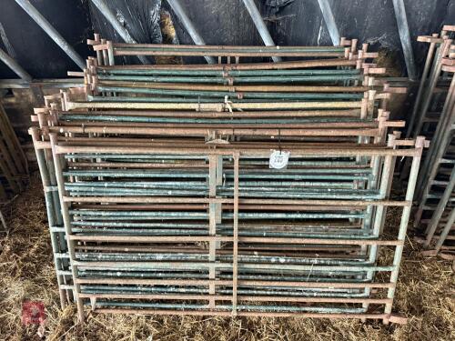 21 METAL SHEEP HURDLES