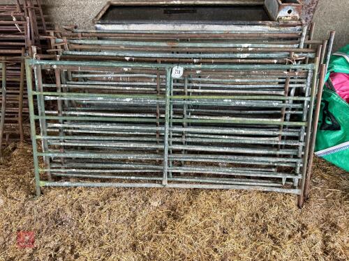 13 X 6' METAL SHEEP HURDLES