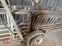PRATTLEY MOBILE SHEEP HANDLING SYSTEM - 3