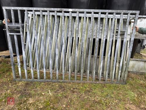 GALVANISED 9'4'' BULL PEN GATE