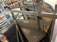 2012 RITCHIE COMBI CLAMP TRAILER - 4