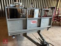2012 RITCHIE COMBI CLAMP TRAILER - 94