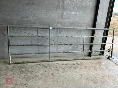 12' HD YARD GATE