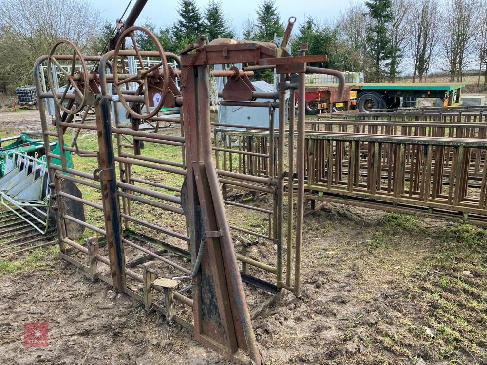 CATTLE CRUSH (S/R)