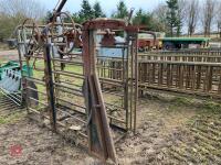 CATTLE CRUSH (S/R)