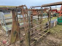 CATTLE CRUSH (S/R) - 3