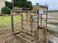 CATTLE CRUSH (S/R) - 4