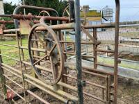 CATTLE CRUSH (S/R) - 6