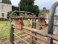 CATTLE CRUSH (S/R) - 8