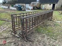 5 FREESTANDING CALF FEED FRONTS - 3