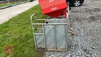 IAE GALVANISED DE-HORNING CRATE - 2