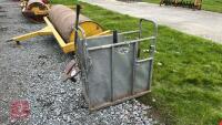IAE GALVANISED DE-HORNING CRATE - 8
