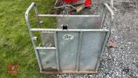 IAE GALVANISED DE-HORNING CRATE - 10