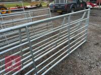 IAE 14' GALVANSIED FIELD GATE - 3