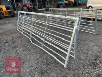 IAE 14' GALVANSIED FIELD GATE - 4
