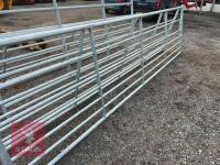 IAE 14' GALVANSIED FIELD GATE - 2