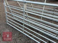 IAE 14' GALVANSIED FIELD GATE - 3